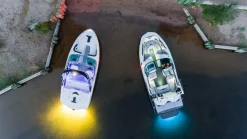 Roswell NightWave Underwater Light